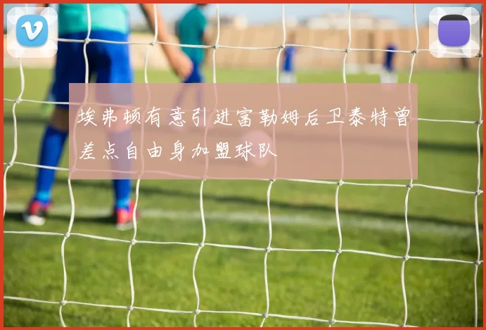 埃弗顿有意引进富勒姆后卫泰特曾差点自由身加盟球队